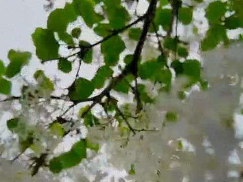 雨后校园