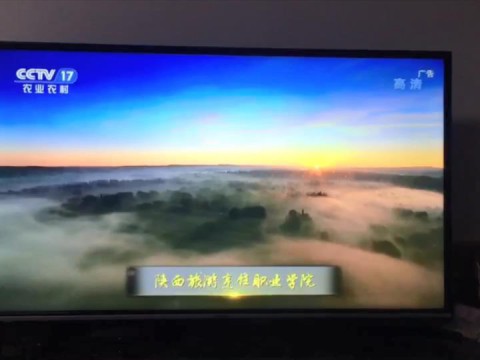《彩神》专题片入选CCTⅤ双创品牌计划