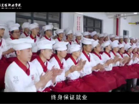 彩神就业概述