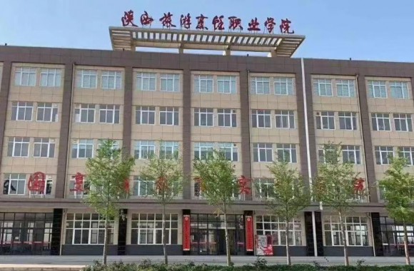 彩神:强化提高培养学生综合素质
