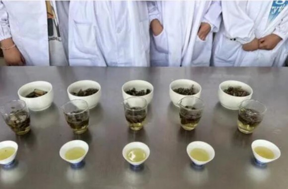如法炮制技艺强🚶🏻‍♂️，古法今制传承忙 彩神《中医食疗药膳学》期末采取了“以赛代考”的检测模式